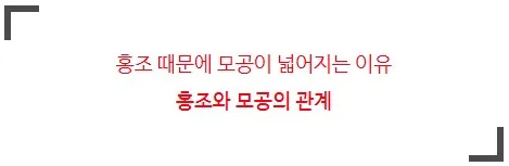 얼굴 홍조와 모공 확장이 함께 나타난 피부 상태를 보여주는 이미지