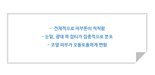 치료 전 상태(전체적으로 칙칙한 피부톤, 눈밑·광대 잡티 집중, 코옆 오돌토돌한 피부결)를 정리한 안내 이미지