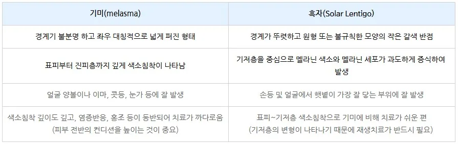 기미와 흑자의 차이점을 항목별로 정리한 비교표
