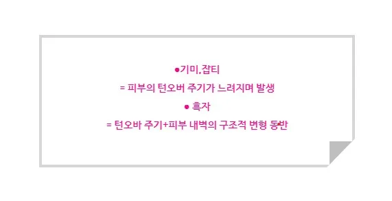 기미·잡티는 턴오버 주기 지연으로, 흑자는 턴오버 주기 문제에 피부 내벽의 구조적 변형이 동반되어 발생한다는 안내 문구 이미지