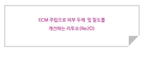 ECM 주입으로 피부 두께 및 밀도를 개선하는 리투오(Re2O)라는 안내 문구 이미지